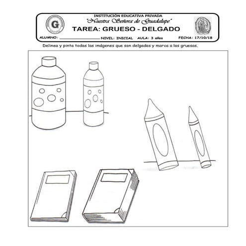 17 tarea grueso   delgado
