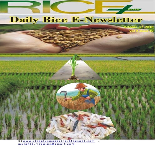 17th october 2018 daily global regional local rice e newlsetter