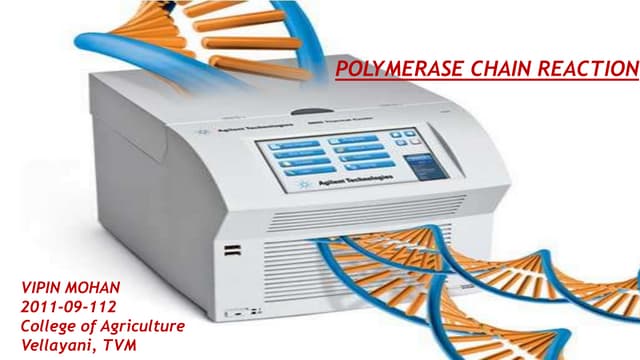 polymerase chain reaction