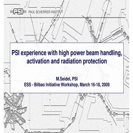 ESS-Bilbao Initiative Workshop. PSI experience with high power beam handling, activation and radiation protection.