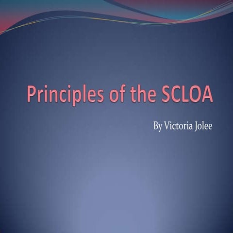 SCLOA principles 