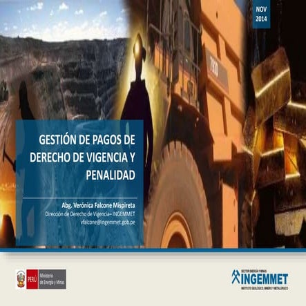 Gestión de Pagos de Derecho de Vigencia 