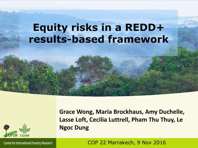 Equity risks in a REDD+ results-based framework