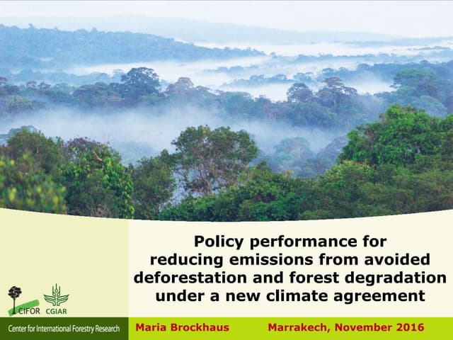 Policy performance for reducing emissions from avoided  deforestation and forest degradation under a new climate agreement