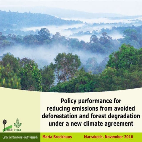 Policy performance for reducing emissions from avoided  deforestation and for...