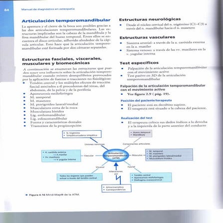 18. articulación temporomandibular