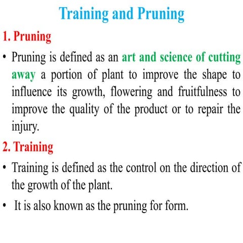 18. Training and prunning of horicultural crops.pptx