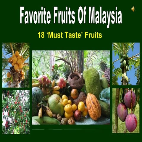 今日１日おつかれさま、これはマレーシアのおいしい果物 Delicious Fruits of Malaysia