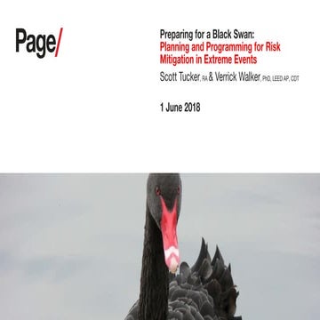 Preparing for a Black Swan: Planning and Programming for Risk Mitigation in E...