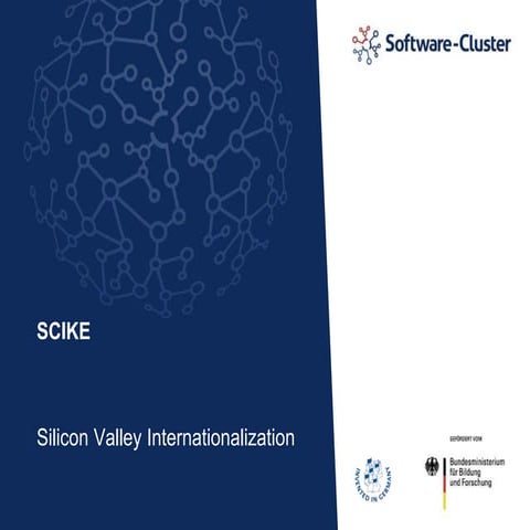 Software-Cluster Internationalisation: Silicon Valley