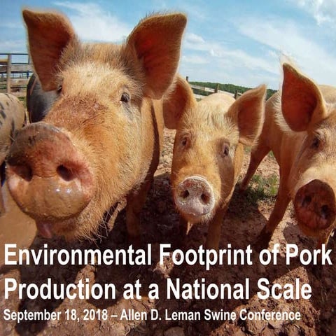 Dr. Jennifer Schmitt - Environmental Footprint of Pork Production at National...