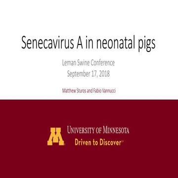 Dr. Matt Sturos - Impact of Senecavirus A in Neonate Pigs