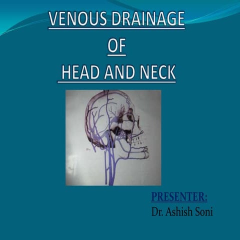venous supply of head & neck