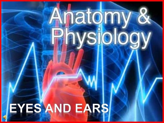 Structure and Functions of the Eye and the Ear | PPT