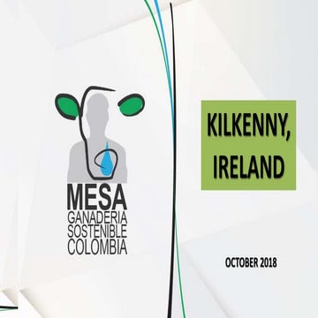 Juan Carlos Botero - Global Sustainability Impacts - Colombia