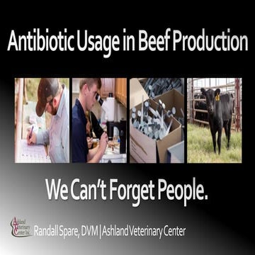 Dr. Randall Spare - Antibiotic Usage in Beef Production, We Can't Forget People