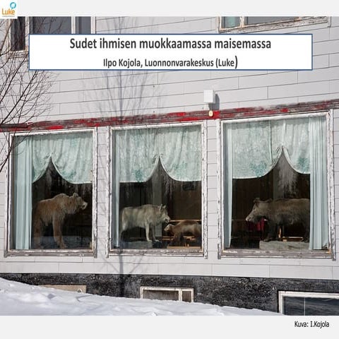 Ilpo Kojola - Sudet ihmisen muokkaamassa maisemassa