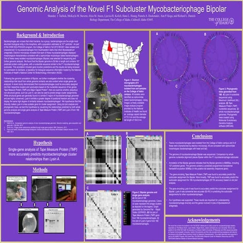 HHMI Research poster -6-9-2014 Bipolar