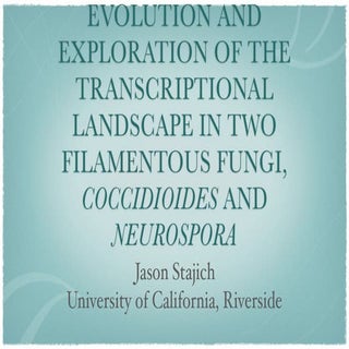 Evolution and exploration of the tr...