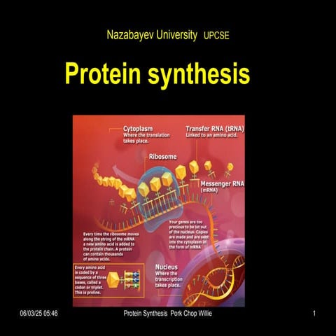 185393104-Protein-Synthesis12345-ppt.ppt