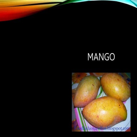  Mango.ppt