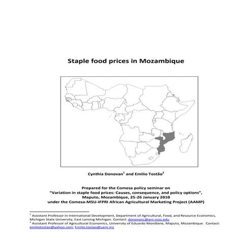 186 aamp mozambique background paper (5 jan)