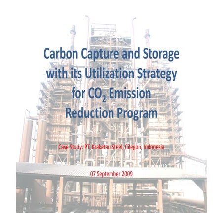 CO2 Capture and Storage (CCS) Model PTKS