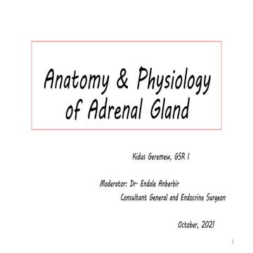 18 Anatomy & Phsyiology of Adrenal Gland.pptx