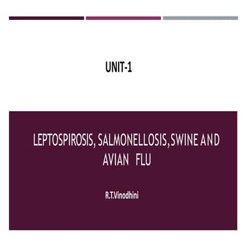 leptospirosis, salmonellosis, swine flu and avian flu