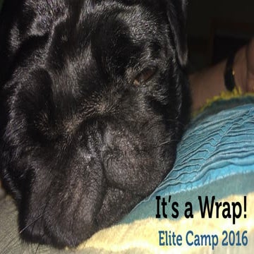 [Elite Camp 2016] Craig Sullivan - Elite Camp Summary Session