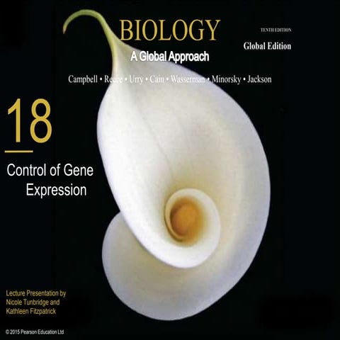 18 ge gene expression lecture presentation