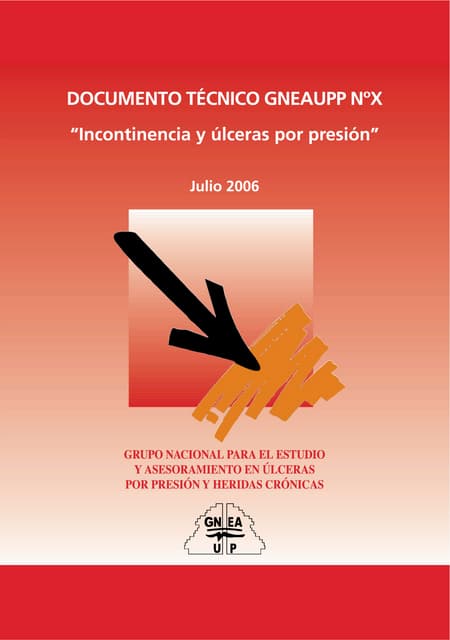 Incontinencia y Úlceras por Presión