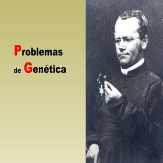 18 problemas de genética (resueltos)