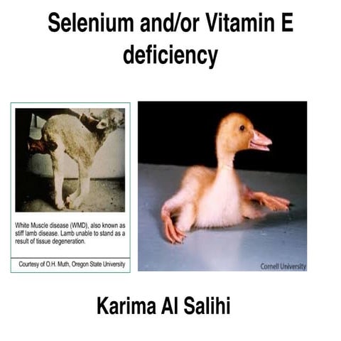 18 selenium and:or vitamin e deficiency 