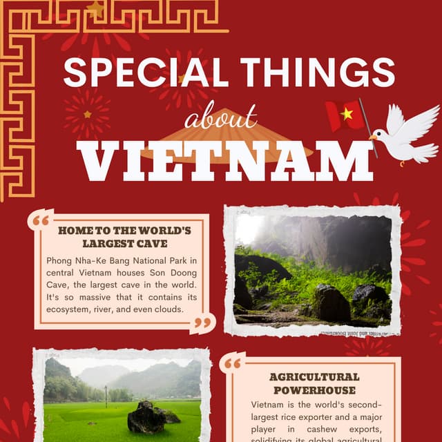 Discover 6 Unique Highlights That Make Vietnam Truly Special