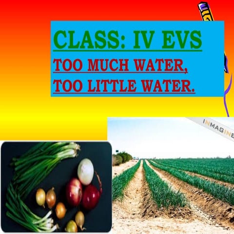 18 too much water, too little water  evs iv   quiz