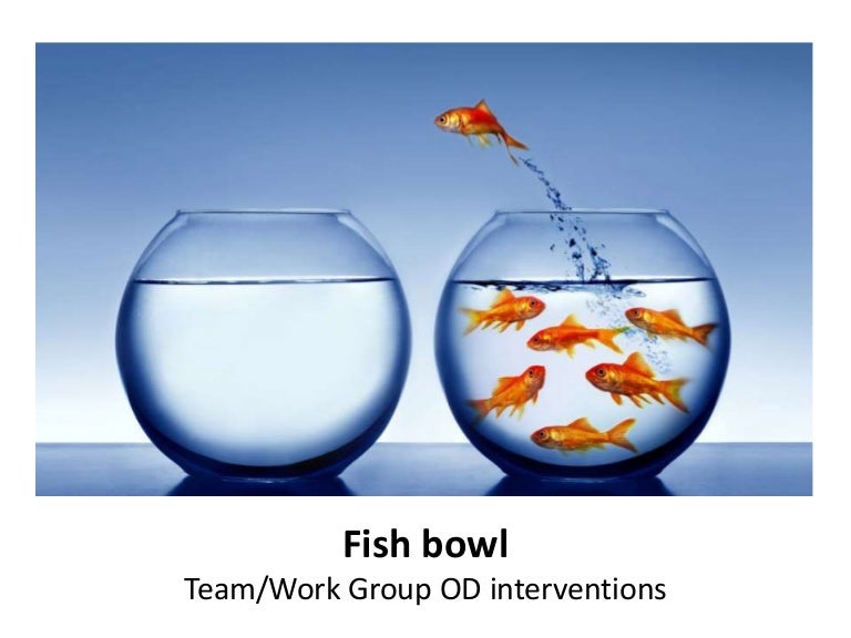 Fish bowl team work group OD interventions Organizational Chang…