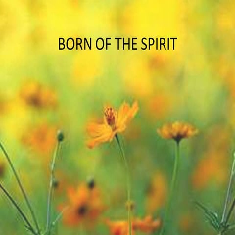 19. born of the spirit