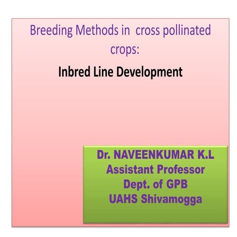 19. inbred lines development