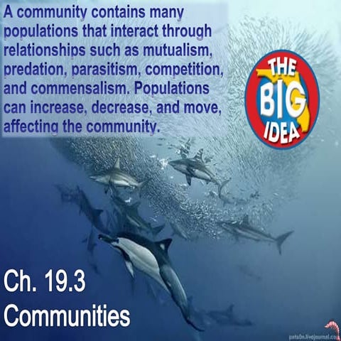 Ch. 19.3 notes: Relationships