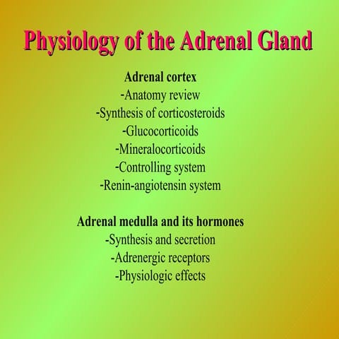 19. adrenal glands