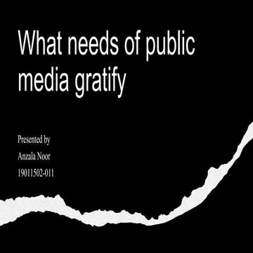 what needs of public media gratify