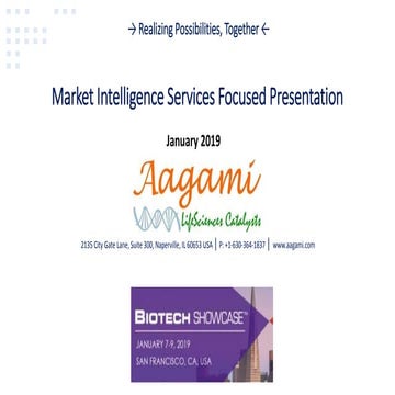 Aagami Market Intelligence Presentation