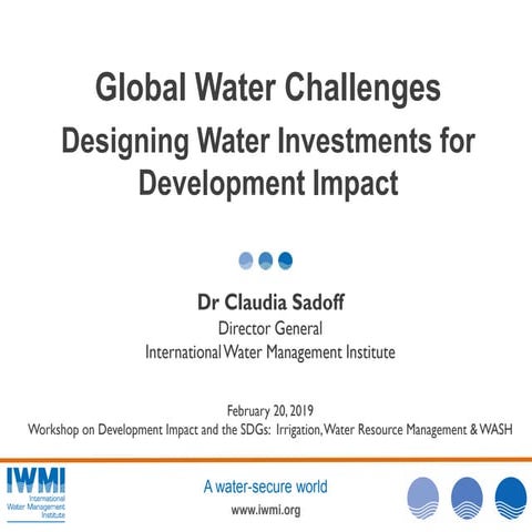 Global Water Challenges - Designing Water Investments for Development Impact