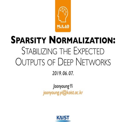 Sparsity Normalization: Stabilizing the Expected Outputs of Deep Networks