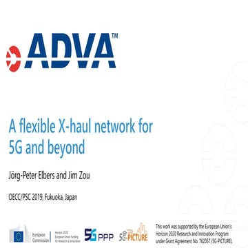 A flexible X-haul network for 5G and beyond
