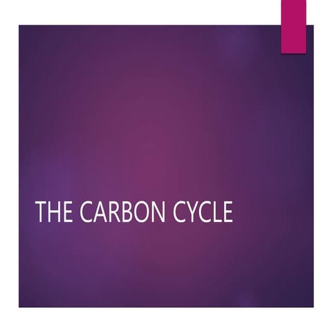 Carbon_Cycle.ppt