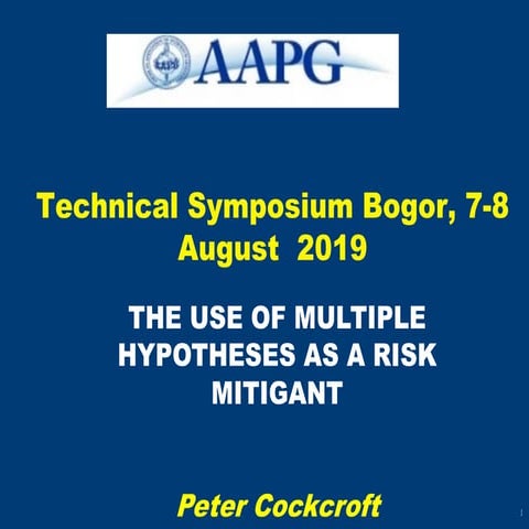 Multiple hypotheses and risk mitigation 