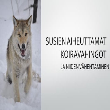 Mari Tikkunen - Susien aiheuttamat koiravahingot