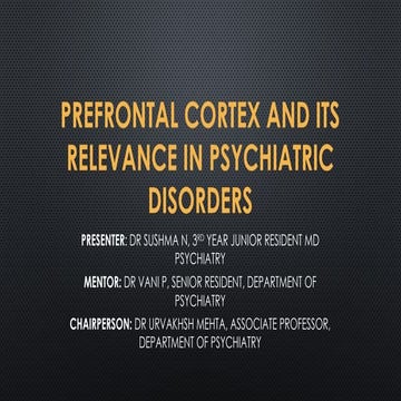 190925 Prefrontal Cortex.pptx about prefrontal cortex